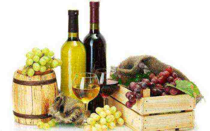 the best varieties of Italian wines