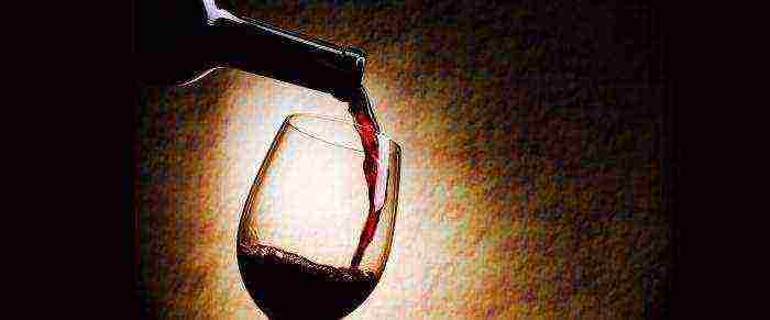 the best varieties of Italian wines