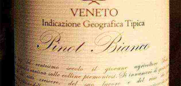 the best varieties of Italian wines