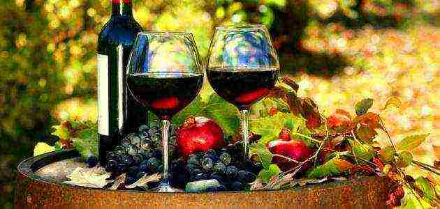 the best varieties of Italian wines