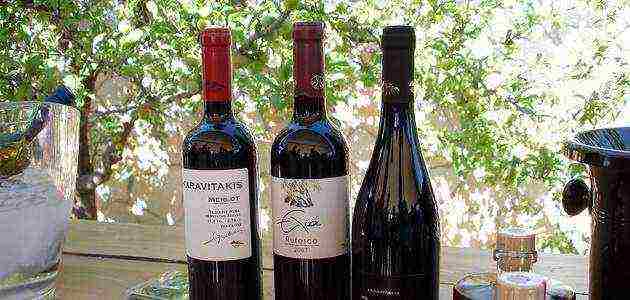 the best varieties of Italian wines