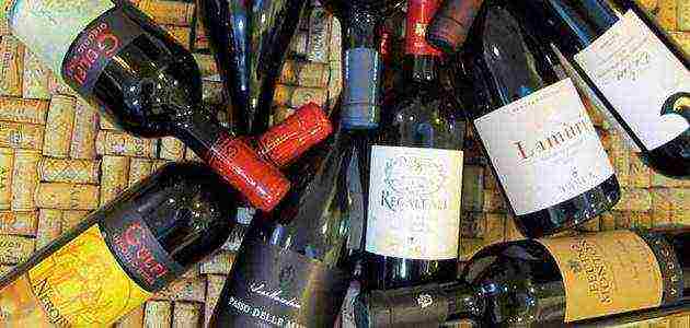 the best varieties of Italian wines