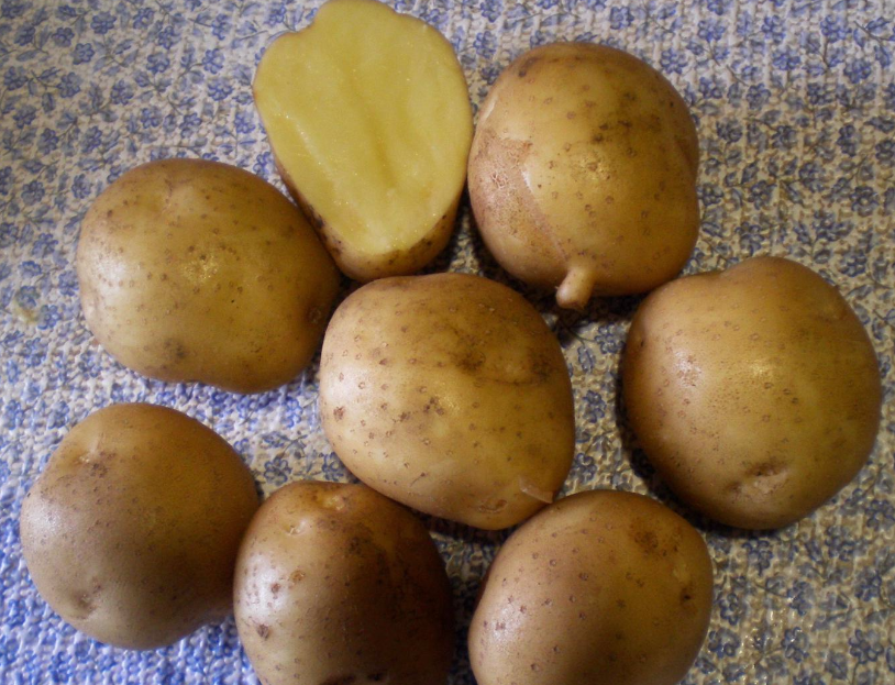 the best varieties of early potatoes