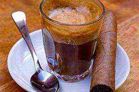 the best coffees of Cuban