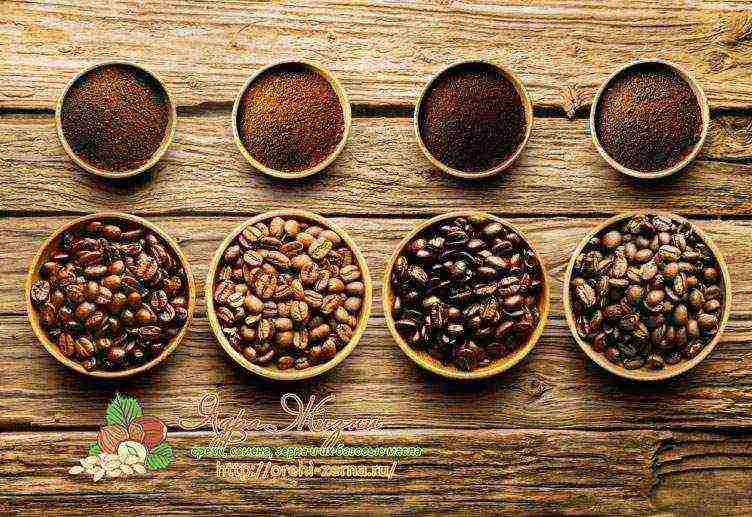 the best varieties of ground coffee