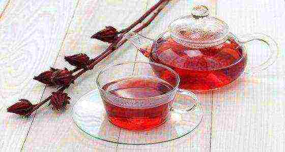 the best varieties of red tea