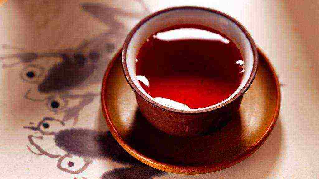 the best varieties of red tea