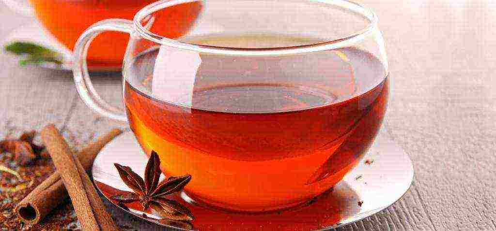 the best varieties of red tea