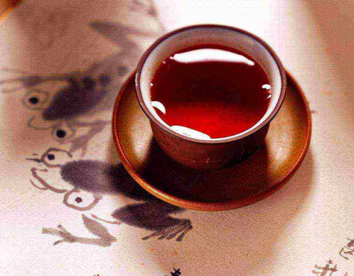 the best varieties of red tea