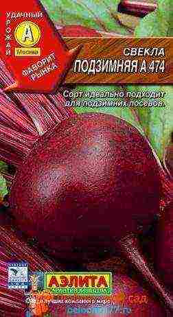 the best varieties of red beets