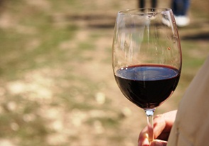 the best varieties of red wines