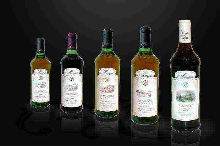 the best varieties of Crimean wines