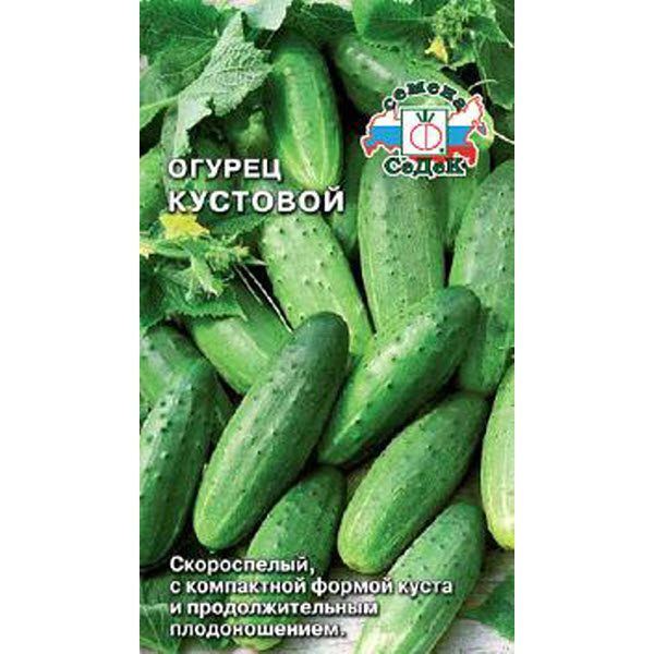 the best varieties of bush cucumbers