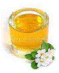 the best varieties of honey in russia