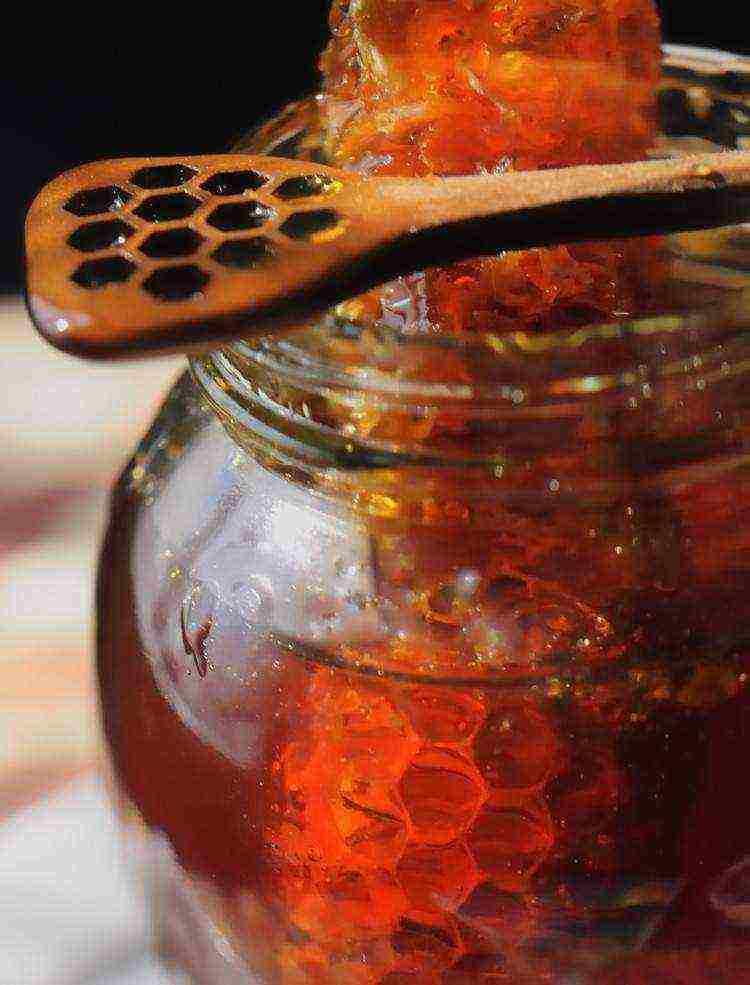 the best varieties of honey in russia