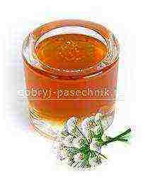 the best varieties of honey in russia