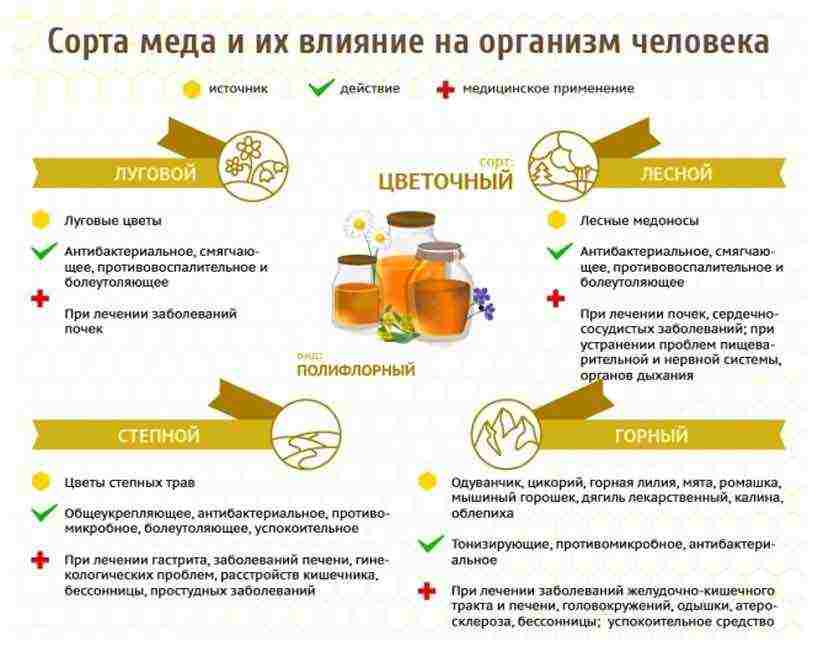 the best varieties of honey in russia