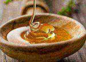 the best varieties of honey in russia