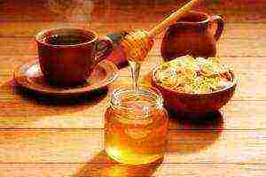 the best varieties of honey in russia