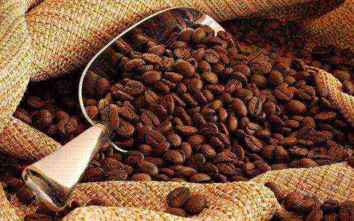 the best varieties of natural coffee