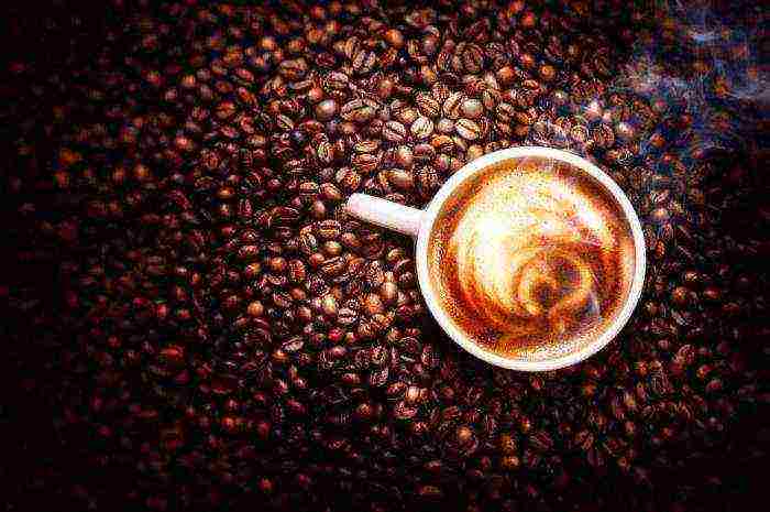 the best varieties of natural coffee