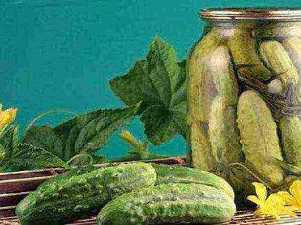 the best varieties of self-pollinated cucumbers