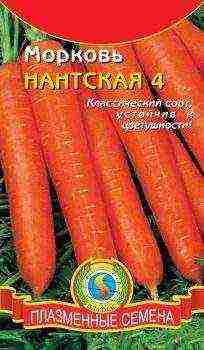 the best varieties of winter carrots