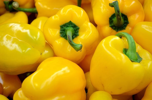 the best varieties of thick-walled peppers