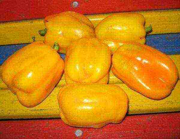 the best varieties of yellow pepper
