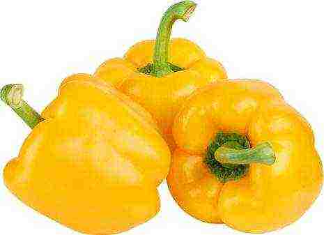 the best varieties of yellow pepper