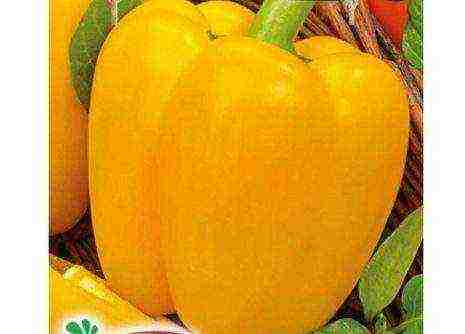 the best varieties of yellow pepper