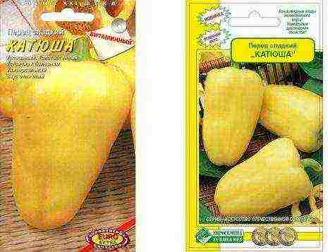 the best varieties of yellow pepper