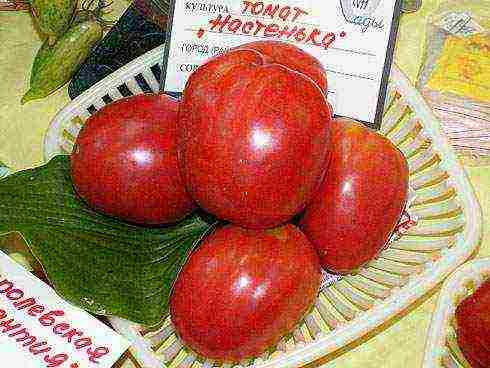 the best varieties of tomato of siberia