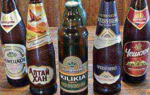 ang pinakamahusay na mga pagkakaiba-iba ng Russian beer