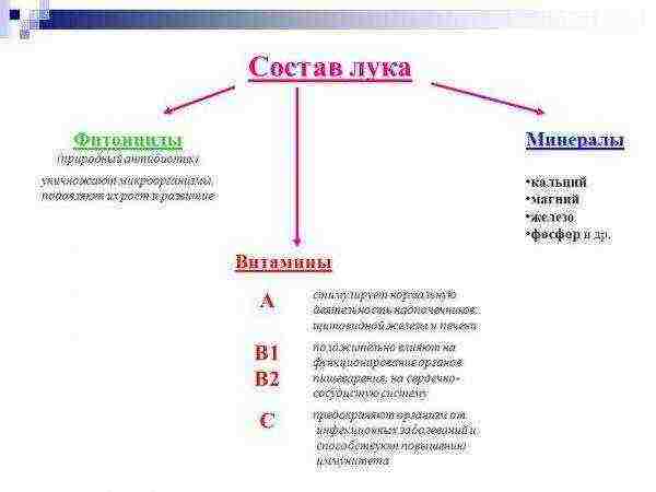 สุดยอดสลัดหัวหอม