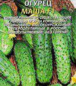 best varieties of cucumber seeds