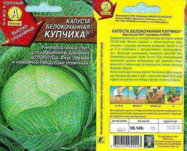 the best varieties of cabbage seeds