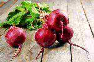 the best varieties of sweet beets