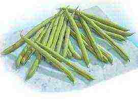 ang pinakamahusay na pagkakaiba-iba ng asparagus beans