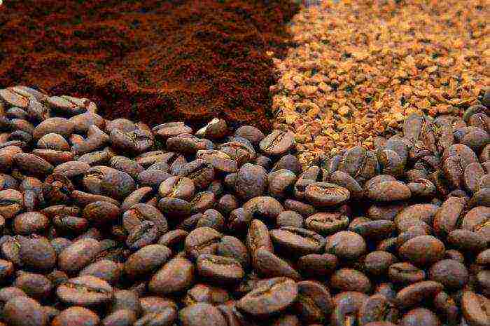 the best varieties of freeze-dried coffee
