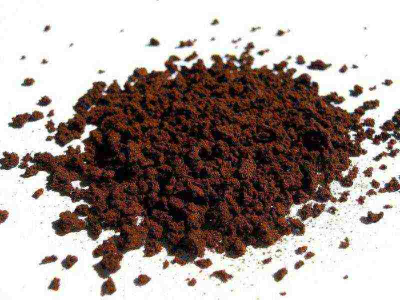 the best varieties of freeze-dried coffee