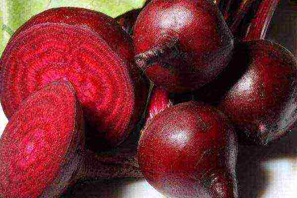 the best varieties of beets near Moscow