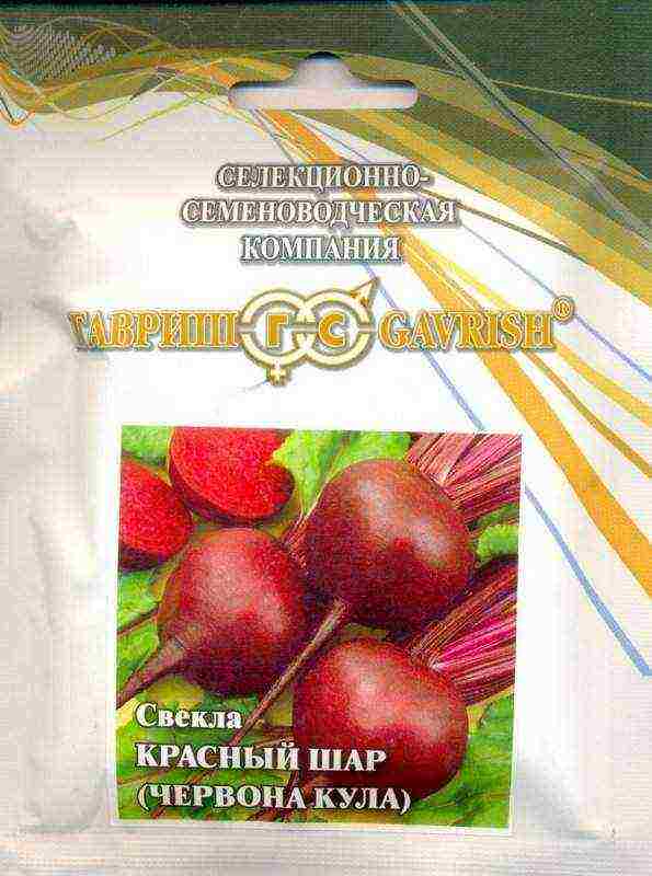 the best varieties of canteen beets