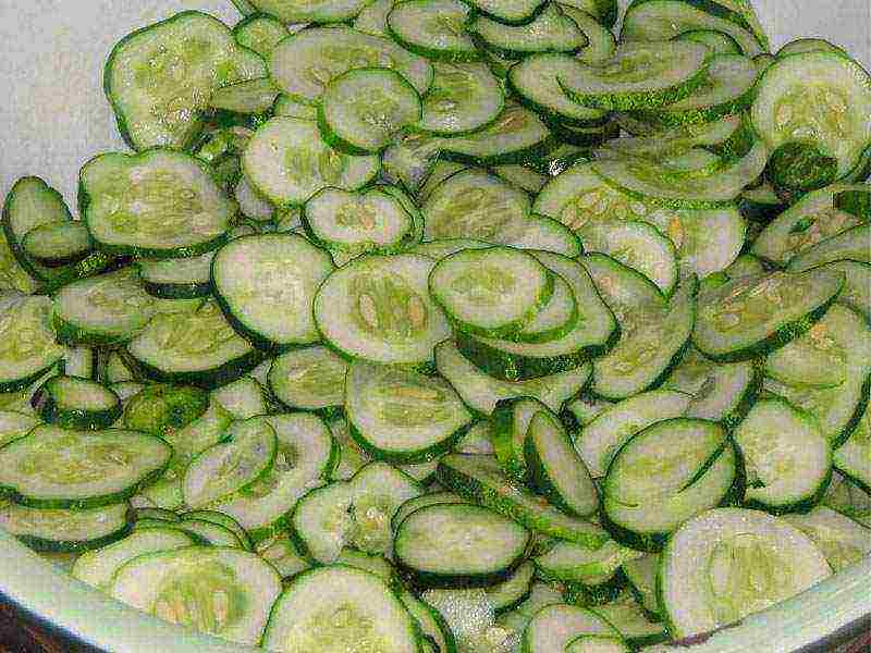 the best varieties of greenhouse cucumbers