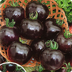 the best varieties of black tomatoes