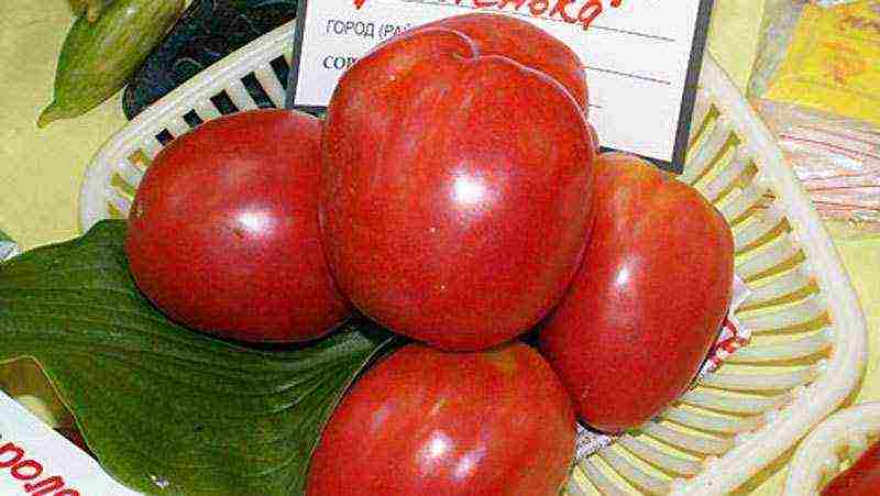 the best varieties of tomatoes for