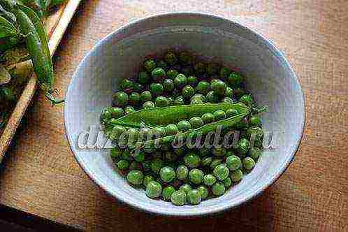 the best varieties of green peas