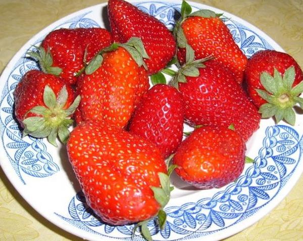 the best varieties of strawberries near Moscow