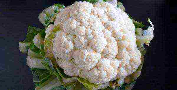 the best variety of cauliflower