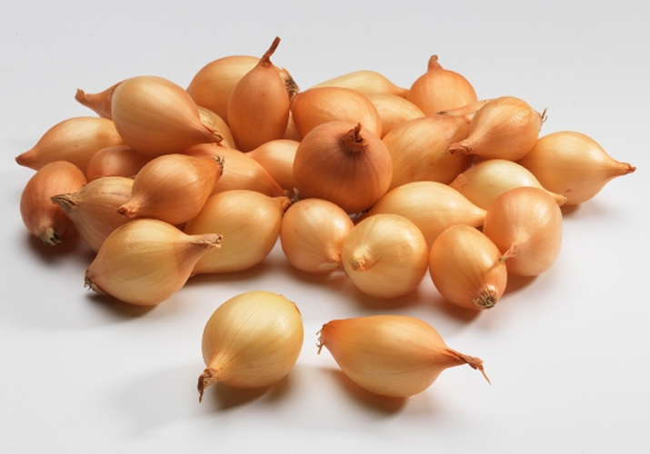 onions on a turnip planting and care in the open field